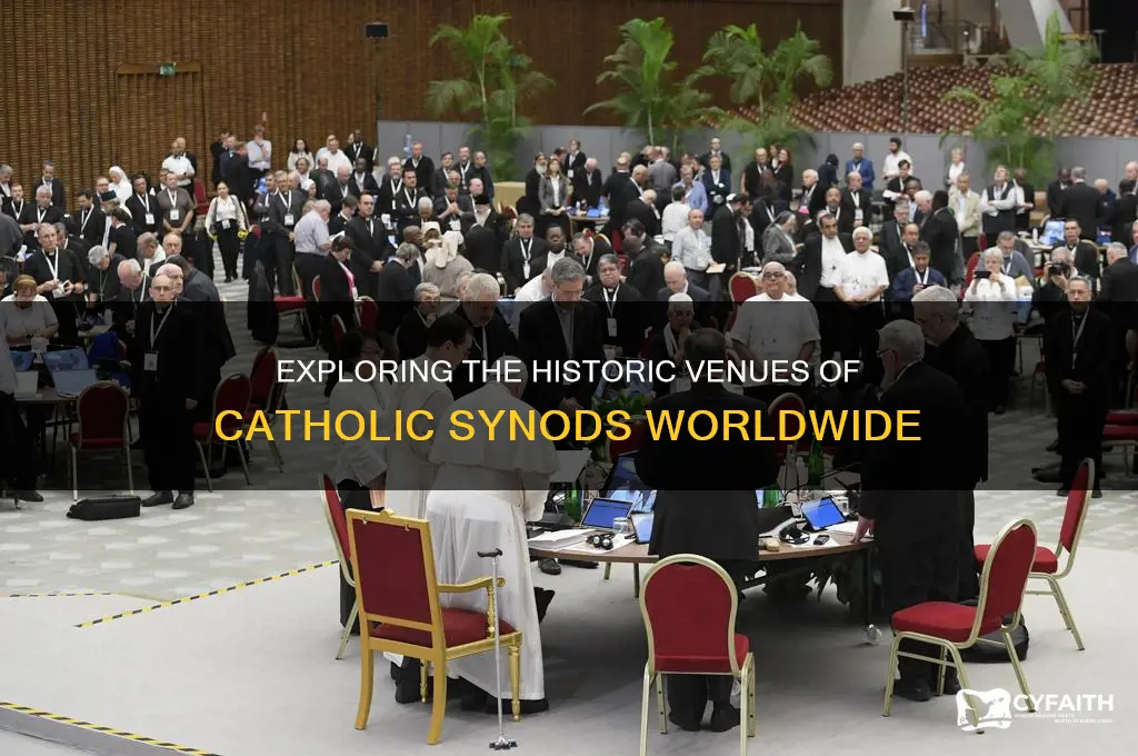 where do catholic synods take place