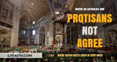 Divergent Doctrines: Key Disagreements Between Catholics and Protestants Explained