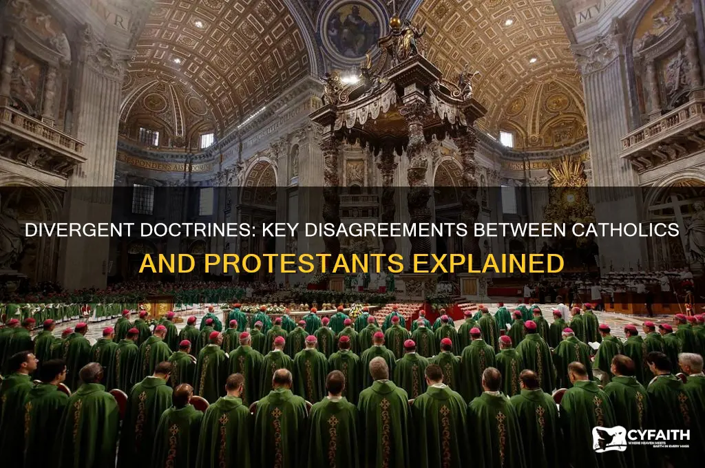 where do catholics and protisans not agree