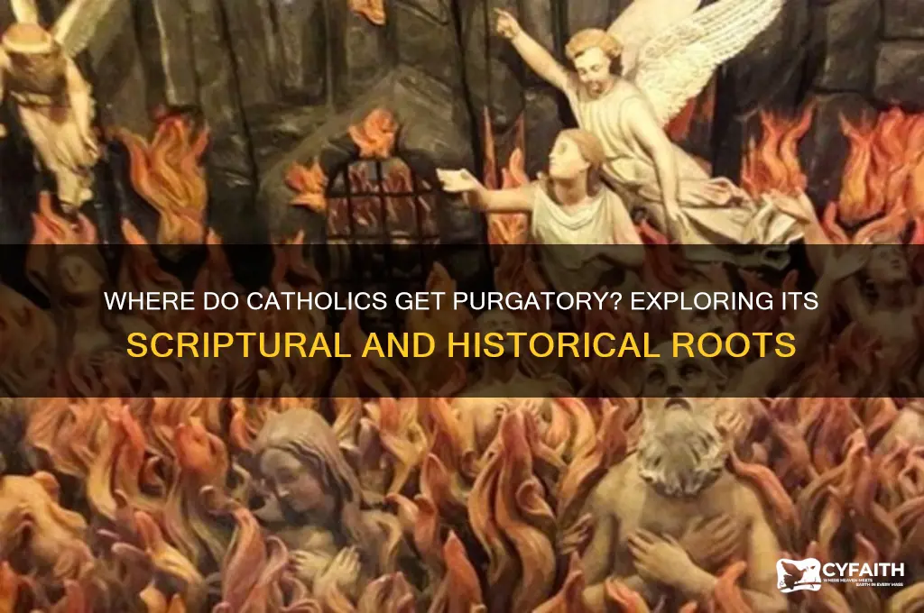where do catholics get purgatory