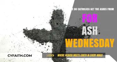 Ash Wednesday Origins: The Catholic Tradition of Ashes Explained