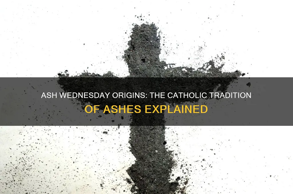 where do catholics get the ashes from for ash wednesday