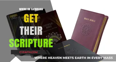 Where Do Catholics Find Their Scripture? A Comprehensive Guide