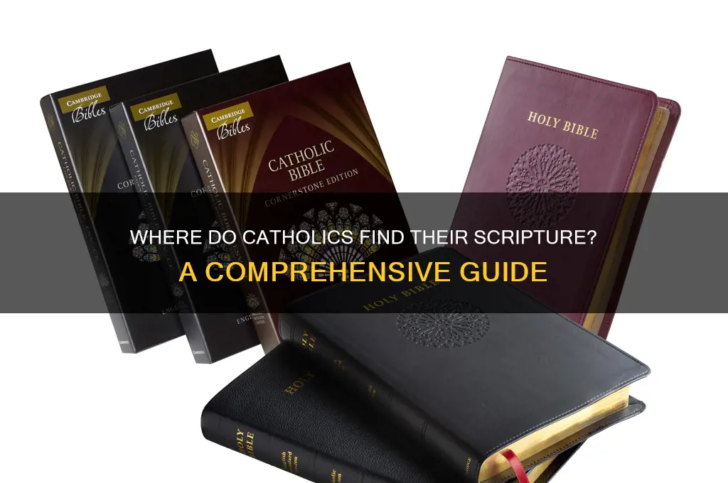 where do catholics get their scripture