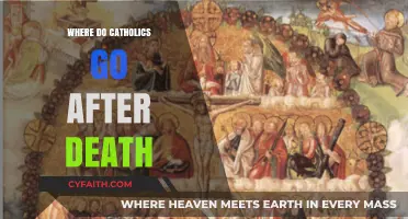 The Catholic Journey: Life After Death