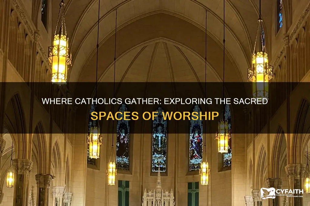 where do catholics go to worship