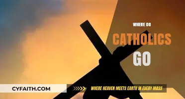 Where Do Catholics Go? Exploring Faith, Community, and Eternal Life