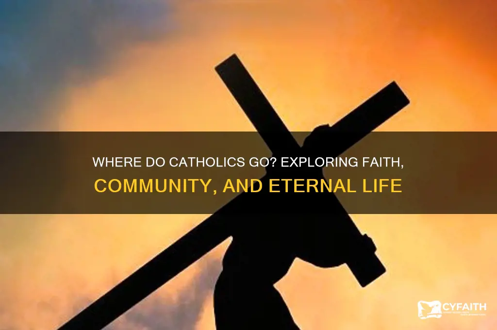where do catholics go