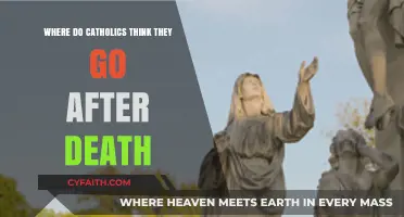 Catholic Beliefs: Understanding the Afterlife and Eternal Destiny Post-Death