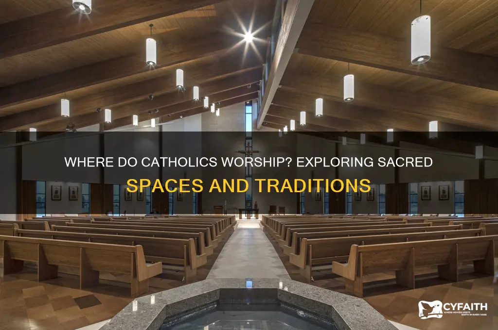 where do catholics wirshio