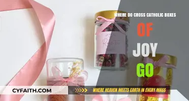Cross Catholic's Boxes of Joy: Destinations and Impact Revealed