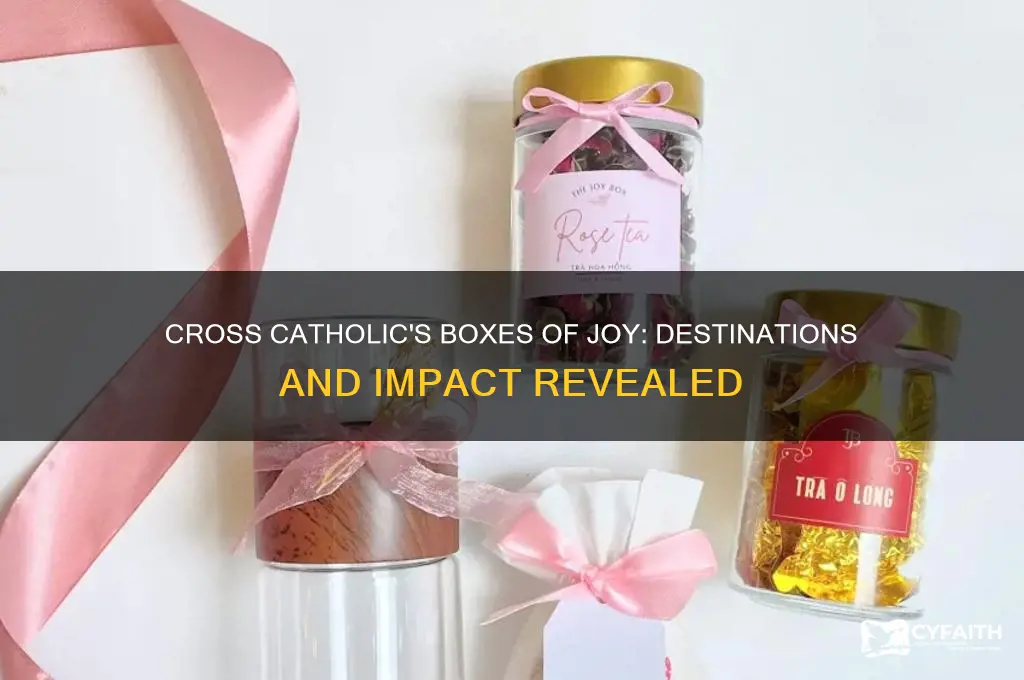 where do cross catholic boxes of joy go