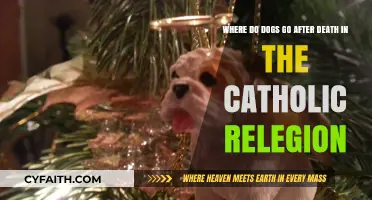 Do Dogs Have a Place in Heaven According to Catholicism?