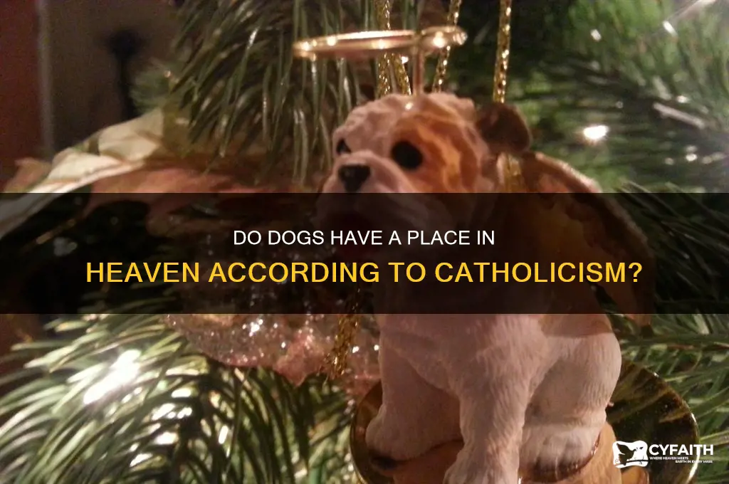 where do dogs go after death in the catholic relegion