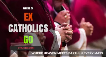 Leaving Catholicism: Exploring Paths Ex-Catholics Take After Faith Transition