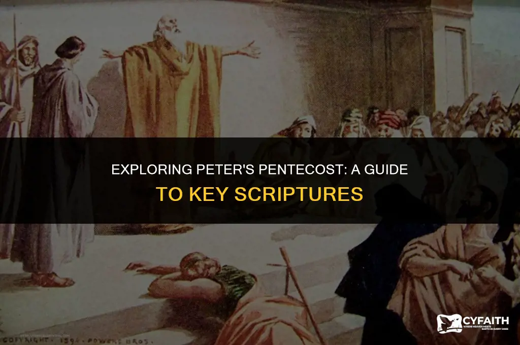 where do i find scriptures about peter at pentecost