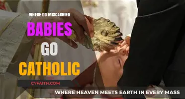 Where Do Miscarried Babies Go in Catholic Theology?
