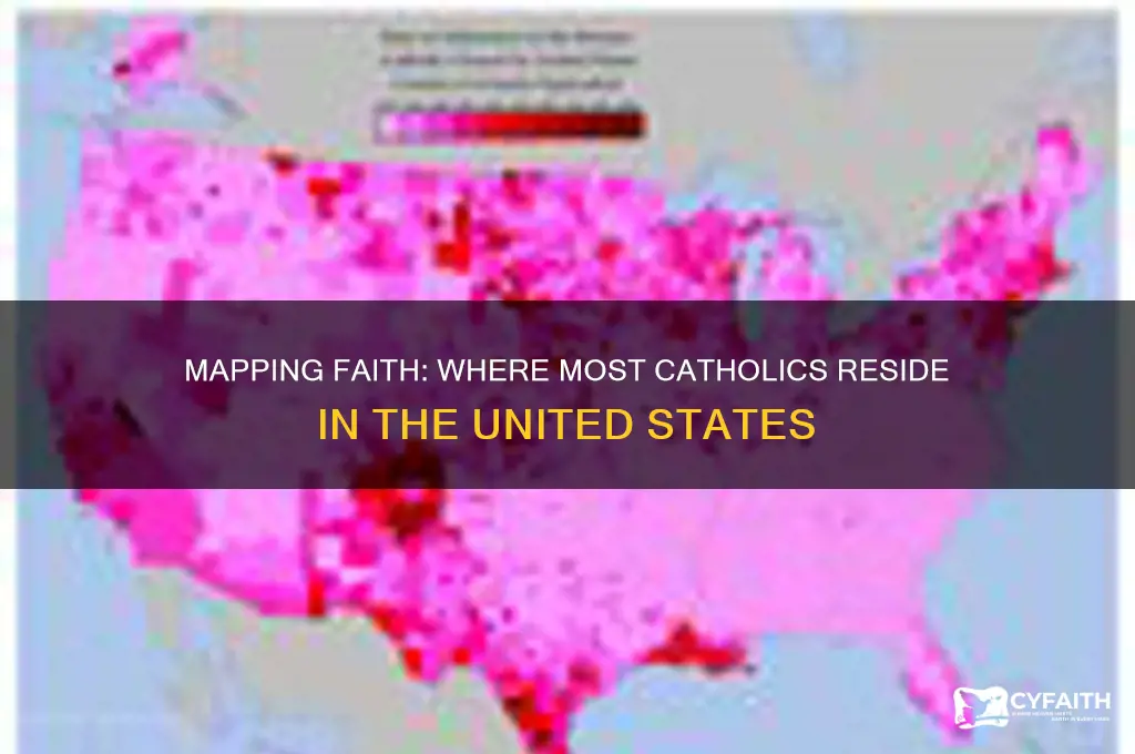 where do most catholic live in usa