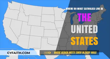 Mapping Faith: Where Most Catholics Reside in the United States