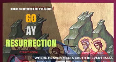 Orthodox Beliefs: Saints' Destination at the Resurrection Explained