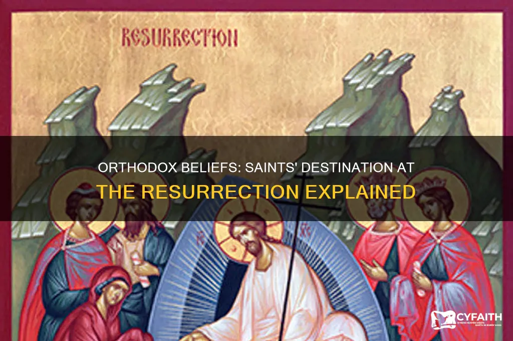 where do orthodox believe saints go ay resurrection
