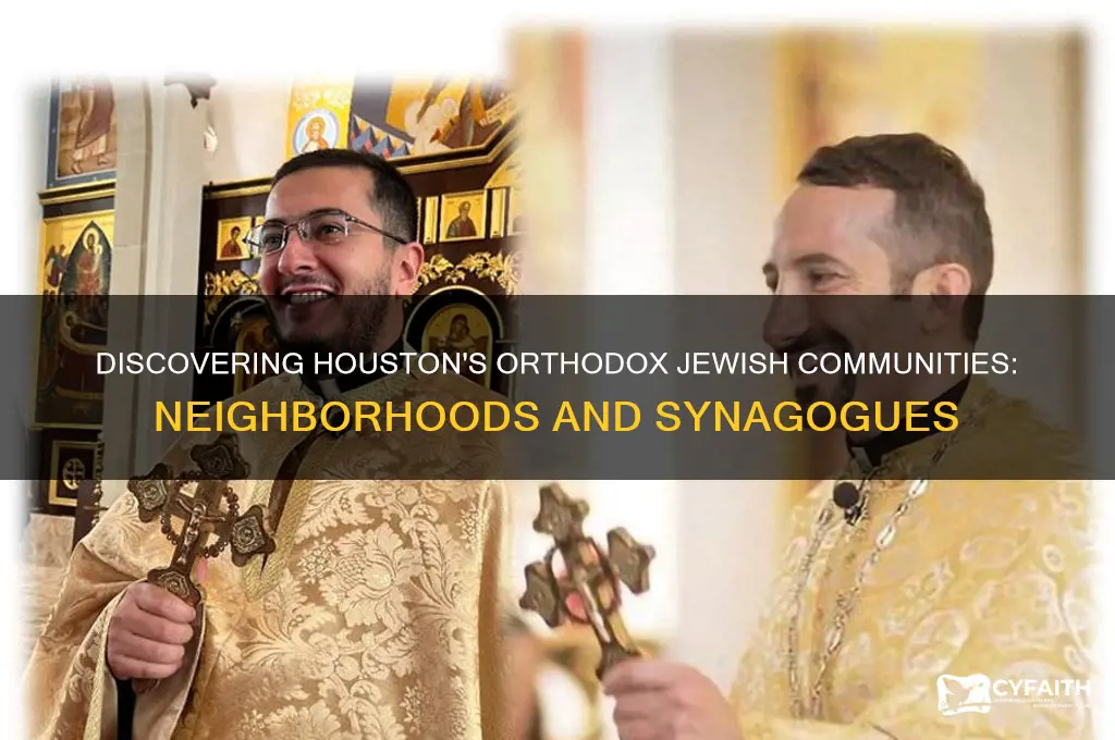 where do orthodox jews live in houston
