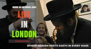 Exploring London's Orthodox Jewish Communities: Neighborhoods and Traditions