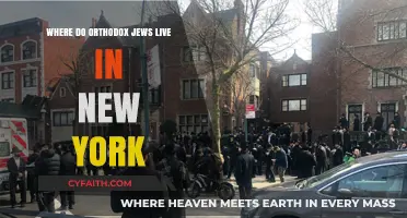 Exploring New York's Orthodox Jewish Communities: Neighborhoods and Culture