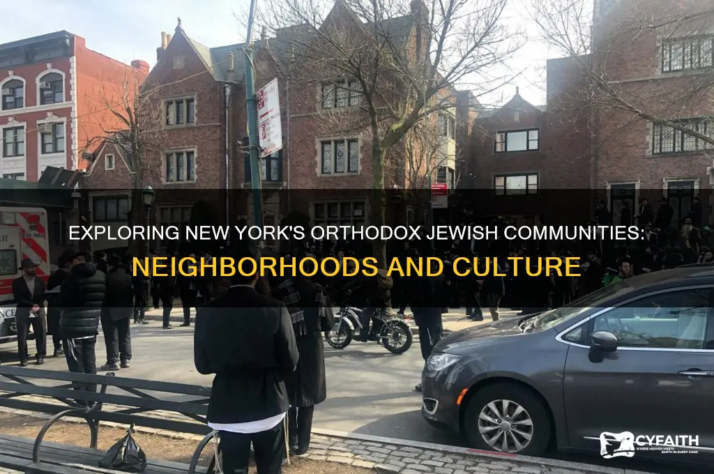 where do orthodox jews live in new york
