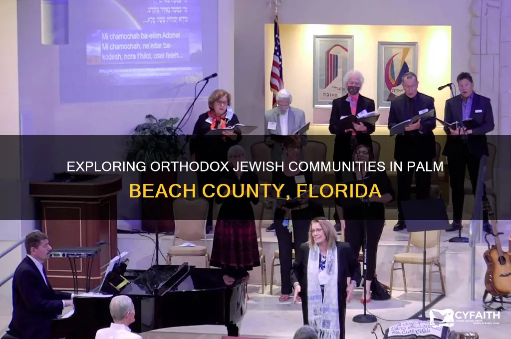 where do orthodox jews live in palm beach county