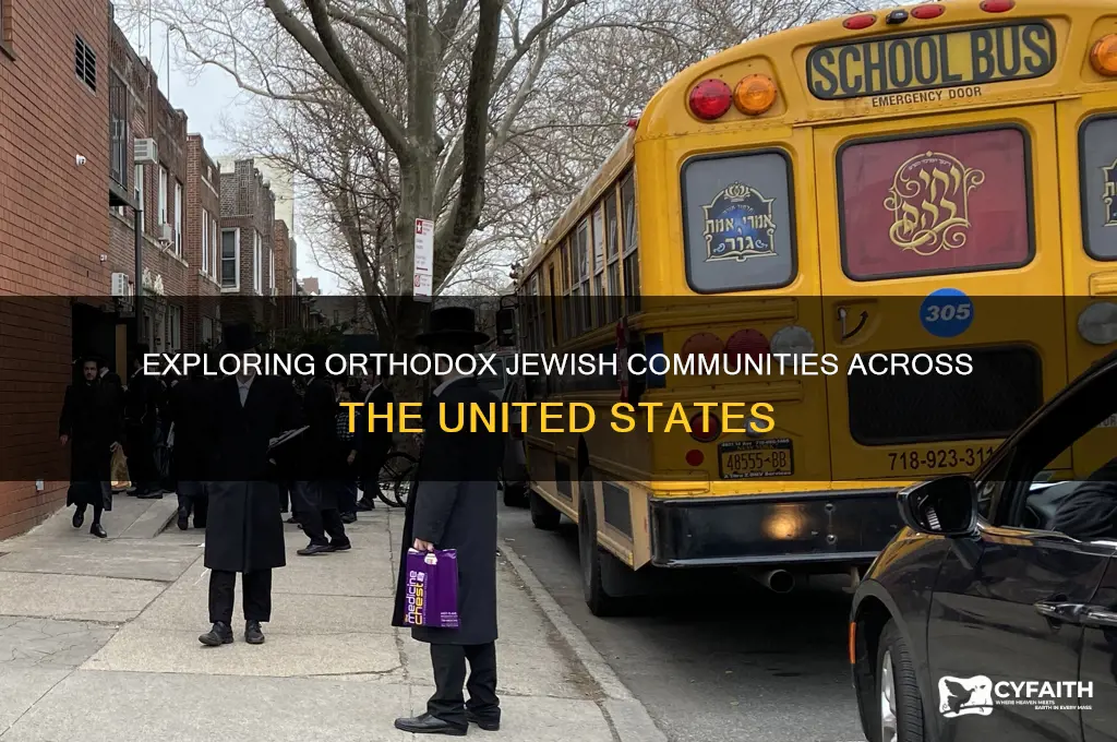 where do orthodox jews live in the us
