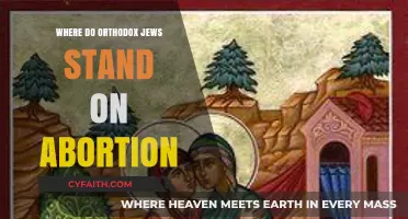 Orthodox Jewish Perspectives on Abortion: Beliefs, Laws, and Practices