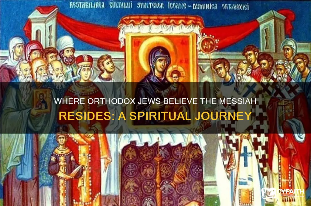 where do orthodox jews think the messiah is