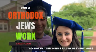Where Do Orthodox Jews Work? Exploring Careers and Community Roles