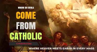 Catholic Teachings on the Origin of Souls: Divine Creation Explored