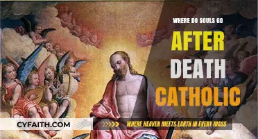 Catholic Teachings: The Eternal Journey of Souls After Death