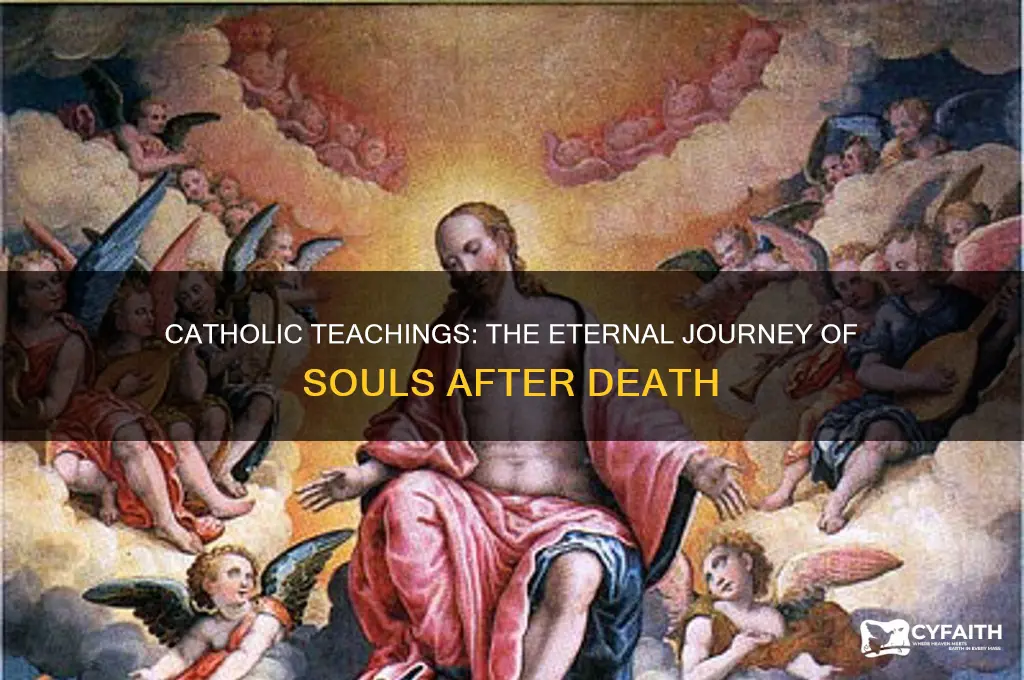 where do souls go after death catholic