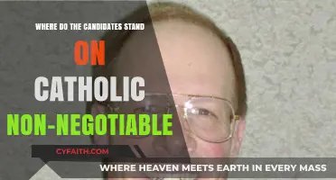 Catholic Non-Negotiables: Where Candidates Stand on Key Moral Issues