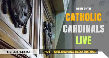 The Cardinals' Residence: Where Do They Live?