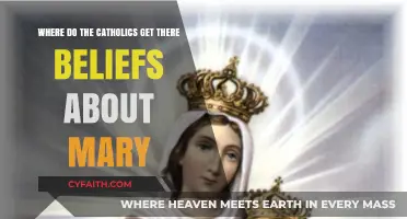Understanding Catholic Marian Beliefs: Scriptural, Traditional, and Theological Foundations