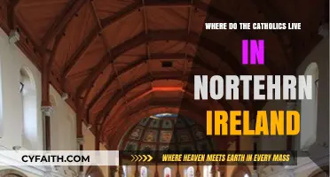 Catholic Communities in Northern Ireland: A Geographic and Cultural Overview