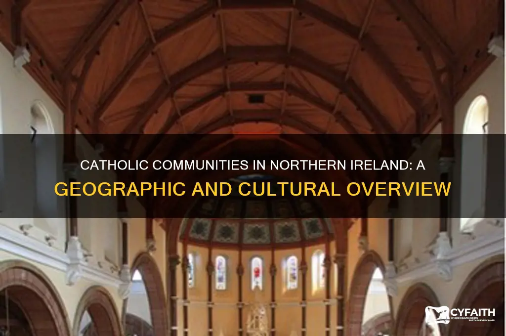 where do the catholics live in nortehrn ireland