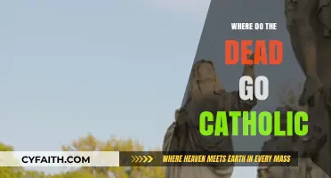 Where Do the Dead Go? Exploring Catholic Beliefs on the Afterlife