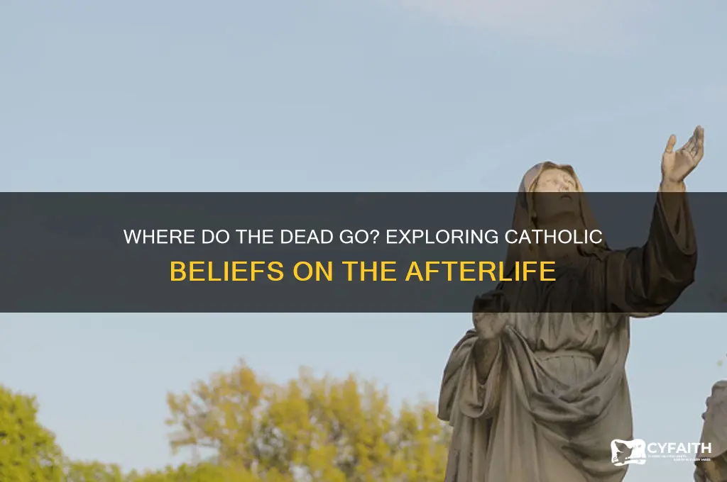 where do the dead go catholic