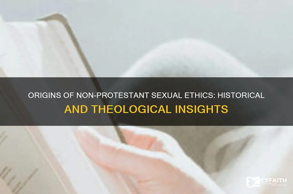 where do the non protestant teachings on sex come from