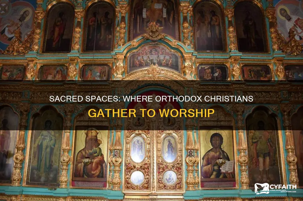 where do the orthodox church worship