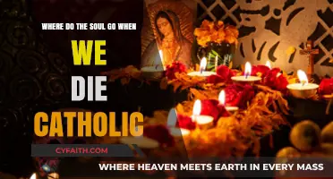 Catholic Teachings: The Soul's Eternal Journey After Death Explained
