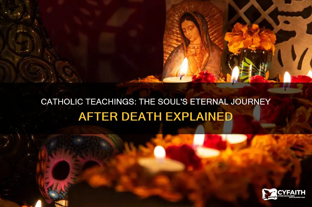 where do the soul go when we die catholic