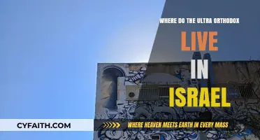 Exploring Israel's Ultra-Orthodox Communities: Locations and Cultural Insights