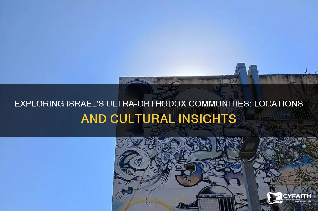 where do the ultra orthodox live in israel